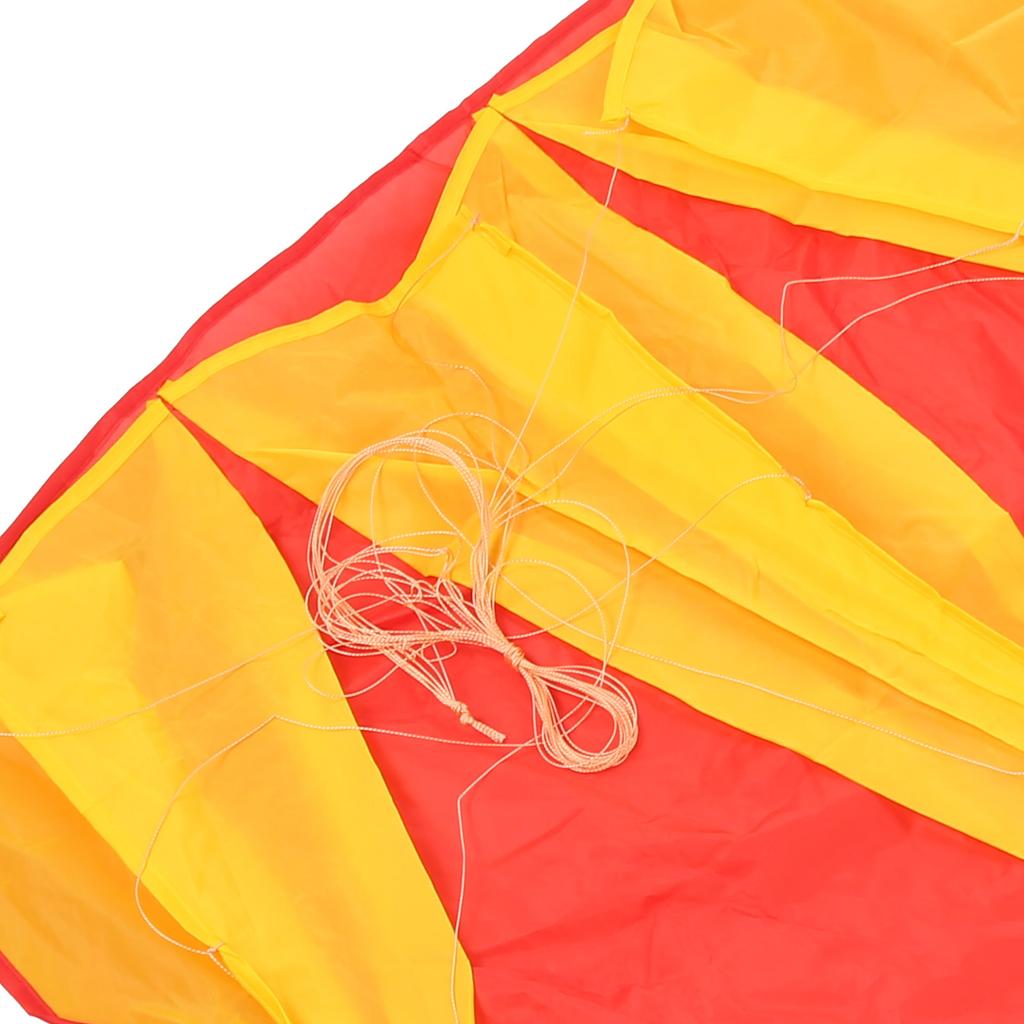 Outdoor Soft   Single Line Kite Animal Shape Kite 4 Meters with 30m Kite Line