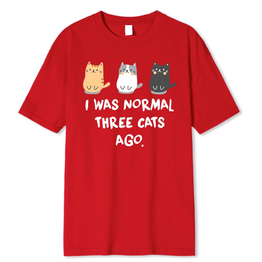 Byl jsem normální před třemi kočkami Pánské tričko s potiskem Ležérní trička Harajuku Oversize tričko Volné prodyšné tričko Oblečení