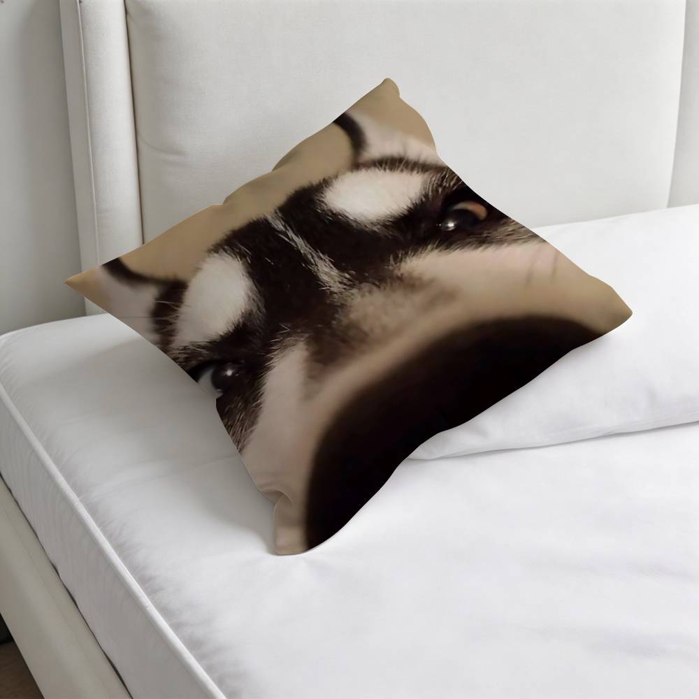 Husky PPuppy Dog Decorative Square Pillow Cover Modern Cushion Case for Living Room Bedroom