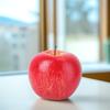 Fake Fruit Photo Prop Artificial Green Lifelike Foam Display Decoration Home Kitchen Wedding Showcase Props Decorative