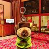Flower Coat Big Military Uniform Capybara Plush Key Holder Gift And Home Decor