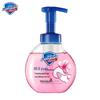 Safeguard Healthy Foam Antibacterial Hand Soap