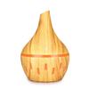 USB Rechargeable Indoor Air Purifier & Humidifier Atomizer