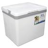 Cooler Box 10L   Highly Efficient with Handle Insulated Cooler for Camping Picnic Fishing Commercial Use