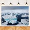 Arctic Glacier Photography Backdrop Supplies Winter Natural Scenery Ice Snow Background Party Decoration Banner Photo Shoot Prop1970