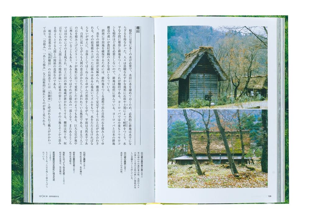 Introduction to Japanese Gardens