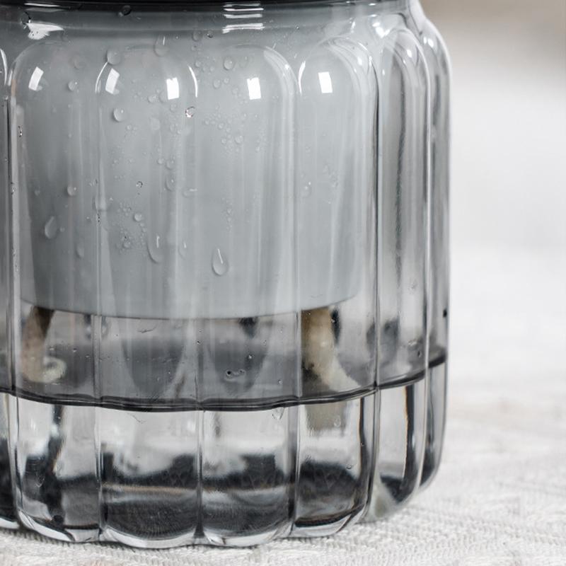 Self Watering Flowerpot Transparent Plastic Flower Vase Automatic Tabletop Lazy Hydroponic Succulent Plant Pot Household Workspace Decoration