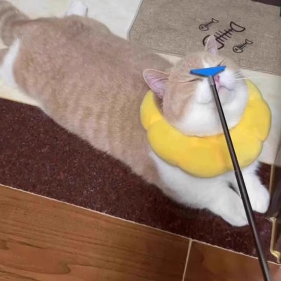 Interactive Touch Therapy Toy for Cats Dogs Extendable Pet Massage Stick Telescopic Rake Shaped Teaser Wand for Bonding Training Grooming