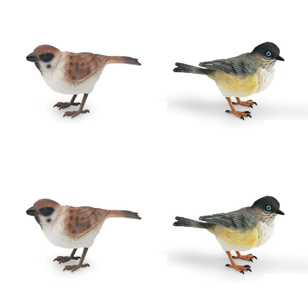 Animal Model Desktop Decor With Plastic Material For Educational Display And Bird Enthusiasts