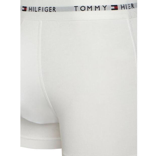 Боксеры Tommy Hilfiger UM0UM03873