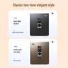 Tiger Brand Boyue D Series Electronic Password Safe