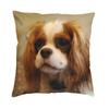 Cavalier King Charles Spaniel Luxury Pillow Cover Home Decorative Dog Animal Cushions For Sofa Double Sided Print Chair Cushion