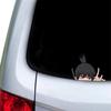 Versatile Self-Adhesive Vinyl Car Sticker for Vehicles and Computers