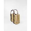 Z Home Cross-border New Straw Woven Handbag Knitted Fashionable All-matching Mini Portable Cross-body Tote Bag