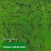 Artificial Green Moss Turf for Landscape and Bonsai Decor