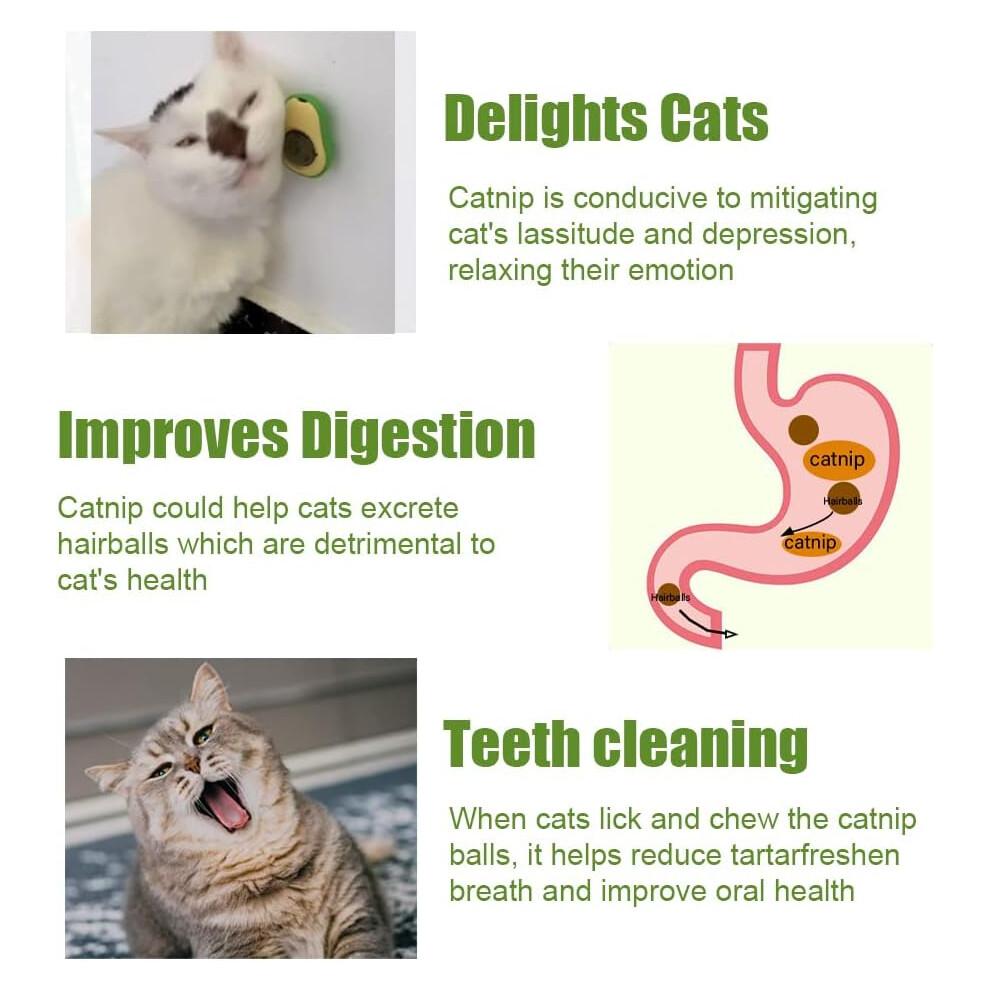 Avocado Catnip Wall Ball Cat Toys Catnip,Snack Healthy Rotatable Treats Toys Kitten Playing Toy,Edible Cat Mint Licking Ball(Catnip & Gall Fruit)