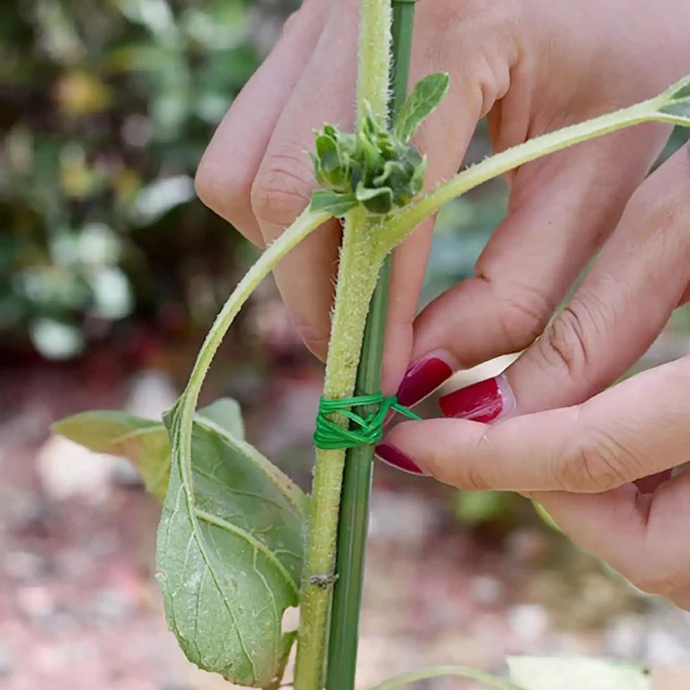 1 Roll-Gardening Binding Line Plastic Thin Wire Garden Fixed climbing Rattan Binding Wire Packaging With Shear Binding Line