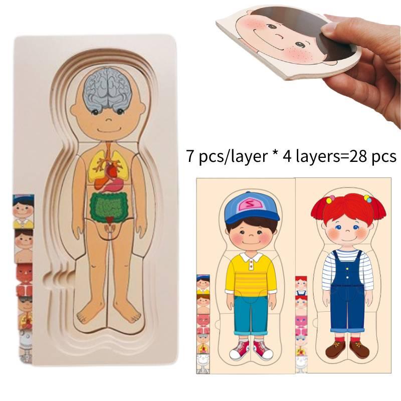 Holz-Puzzle-Spielzeug zur menschlichen Körperstruktur für Jungen und Mädchen