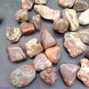 Children's Treasure Hunt: Mixed Crystal, Agate, and Gold Ore