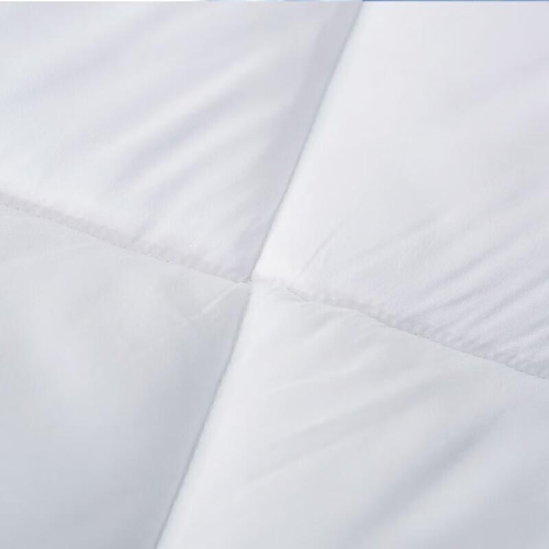 Mengjie Mugwort Soft Quilt 200x230cm