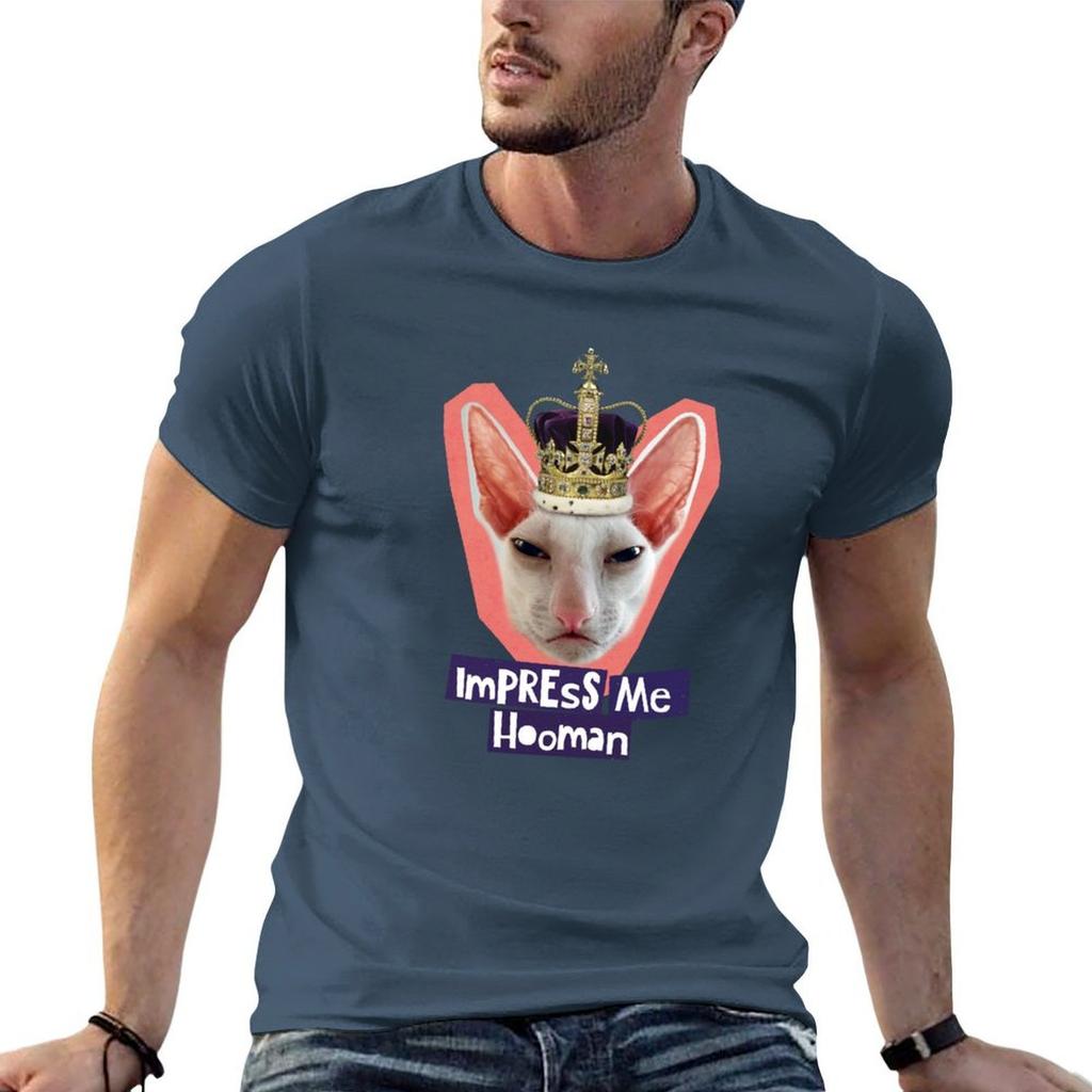 Impress Me Hoounisex Tshirt No Iron Casual Short Sleeve Top