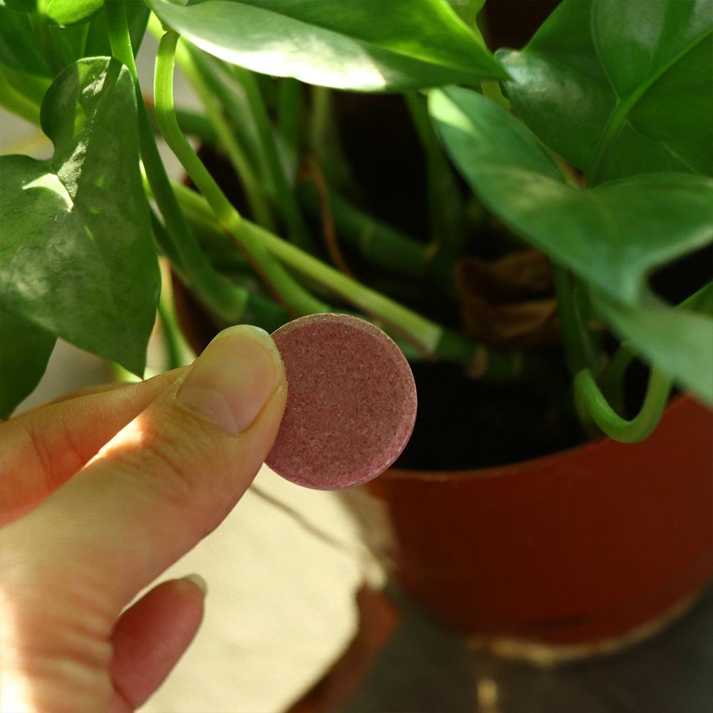 Universal Phosphorus Organic Fertilizer Speed Up Potassium Slow-Release Tablet Growth Plant Nutrition Tablets Flowers