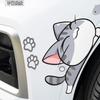Cat Fish Car Stickers Auto Wheel Brow Bumper Sticker Scratches Cover Body Decoration Decals Motorcycle Waterproof Decals