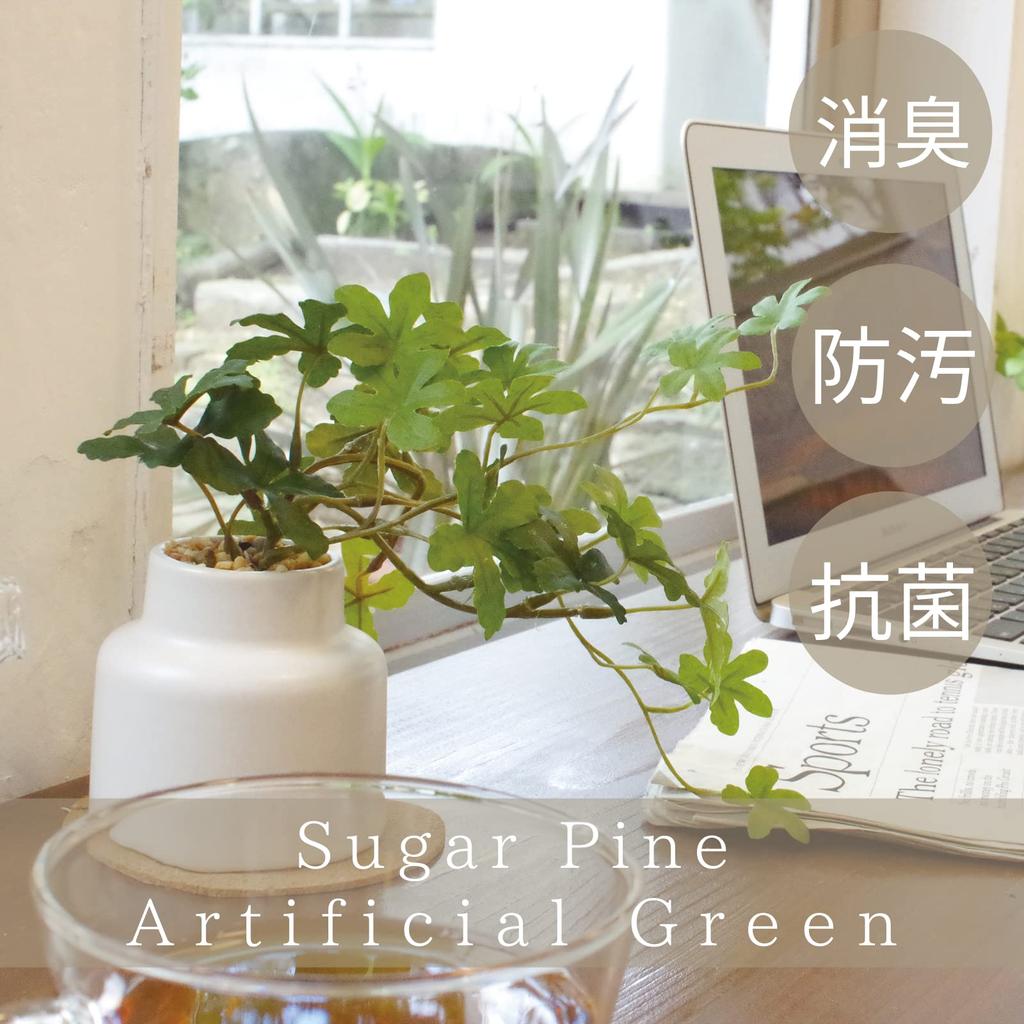 Kishima Artificial Fake Artificial Flower Air Sugar M Size Plant, Green, Non-Wilting Green, Catalyst, Deodorizing, Antibacterial, Purifying, Pine,