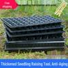 Thickened Plastic Succulent Seedling Tray for Cultivation & Cutting