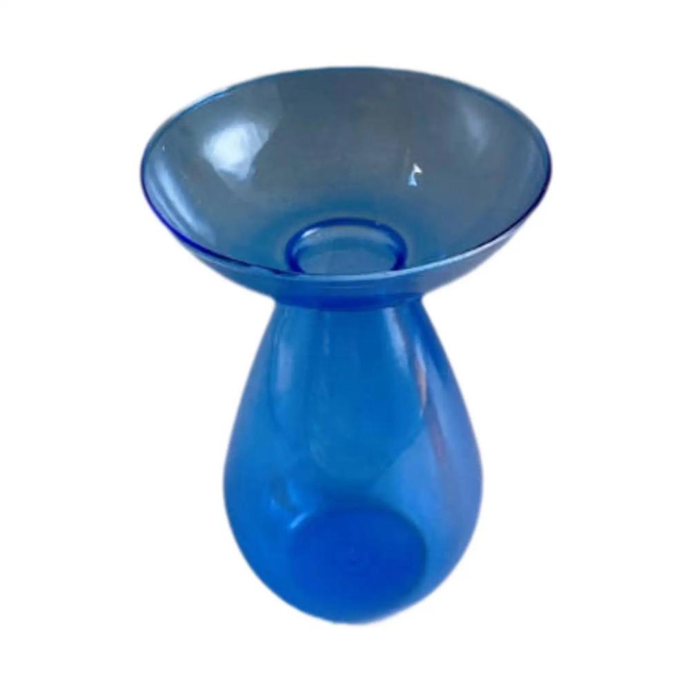 Creative Transparent Long Oval Avocado Hydroponic Vase Avocado Seeds Hydroponic Vessel Flower Pot for Gardening Home Decor