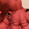 Octopus Stuffed Animal, Soft Plush Toy for Kids, Cute 8 Legs Octopus Plushie for Bedroom, Funny Gift for Boys Girls