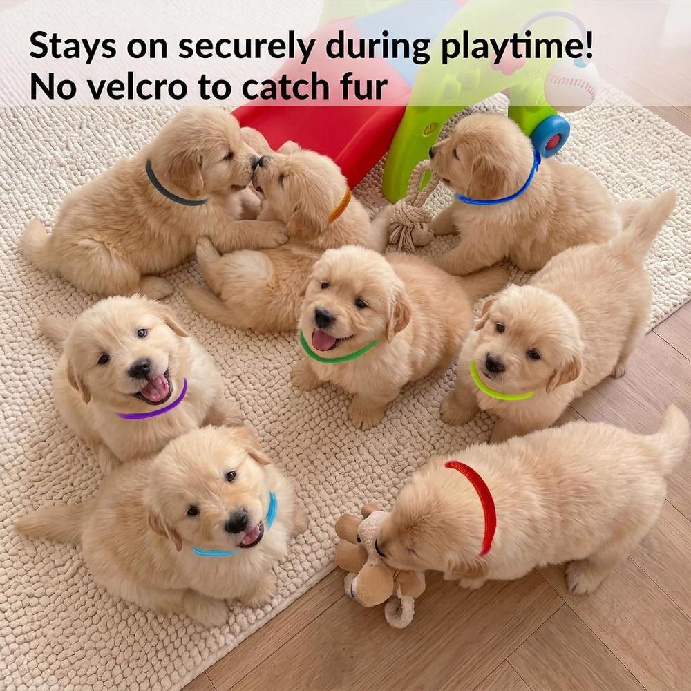 16pcs Breathable Puppy Collars Adjustable Whelping Collars Newborn Puppy Collars  Newborn Pets