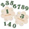 Zweiseitige Baby-Monatsmeilensteinkarten 3D-Blumen Neugeborenen-Fotografie-Requisiten Mädchen Jungen