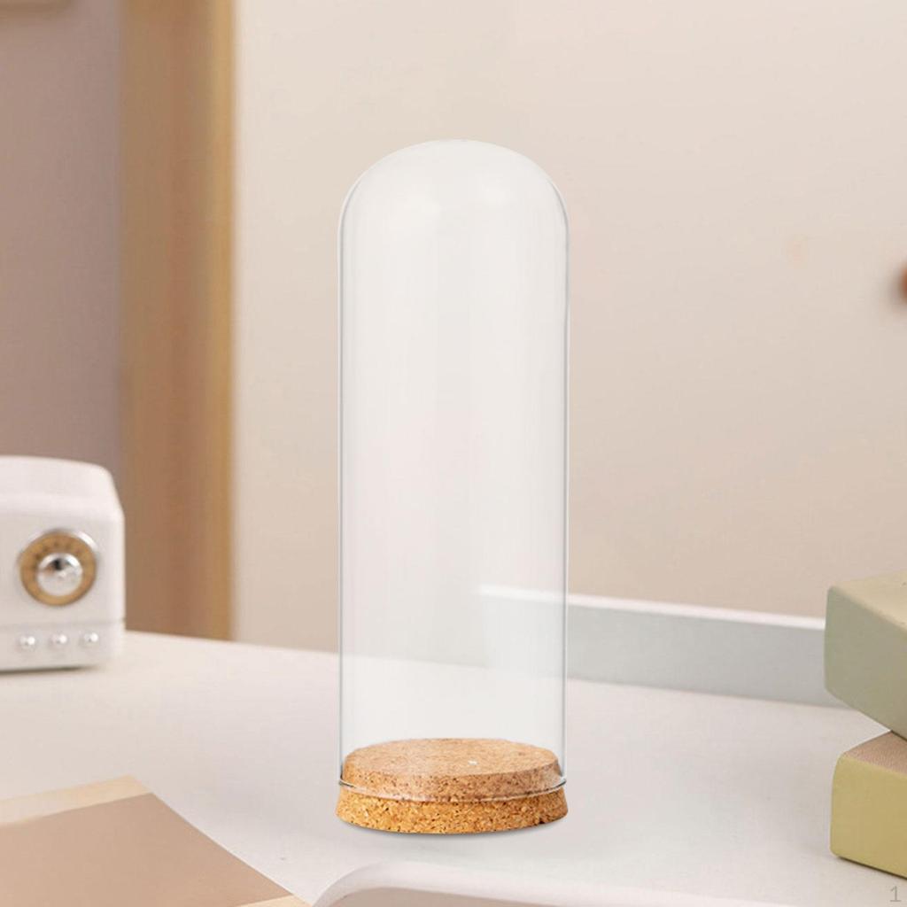 Cloche Bell Jar Display Dome Case with Wood Base Container Centerpieces Cover