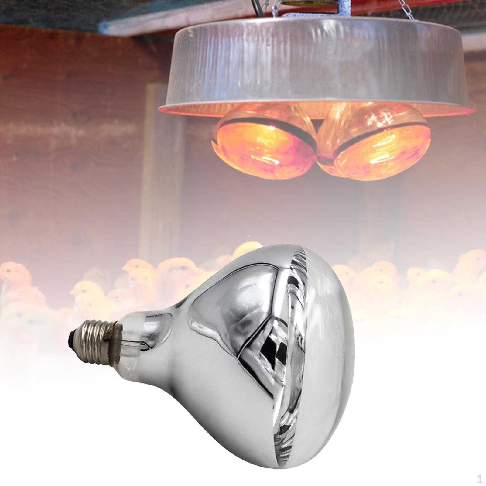 

Тепловая лампа Компактная Эффективная Быстрый нагрев для уличных животных Домашние животные Рептилии Птица Курятник 100W