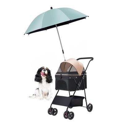 Giyim ve ayakkabı – Köpek Aksesuarları
