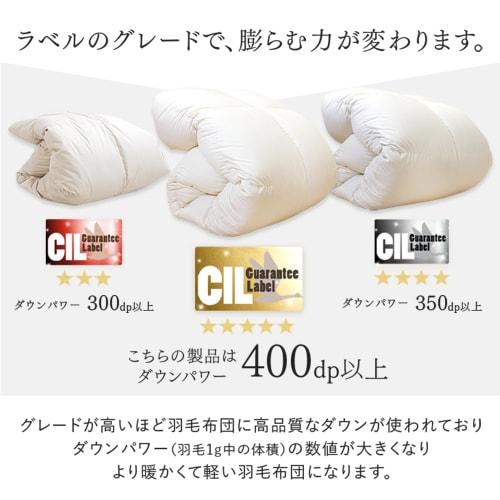 Tansu No Gen Down Comforter, Single Size [Laundromat-Friendly!] 93% Down, 1.0kg Fill, Made In Japan, 7-Year Warranty, Washable, Comforter 10119003 (76