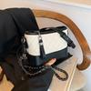Early autumn new high-end chain stray bag street shooting trend single shoulder oblique span women's bag