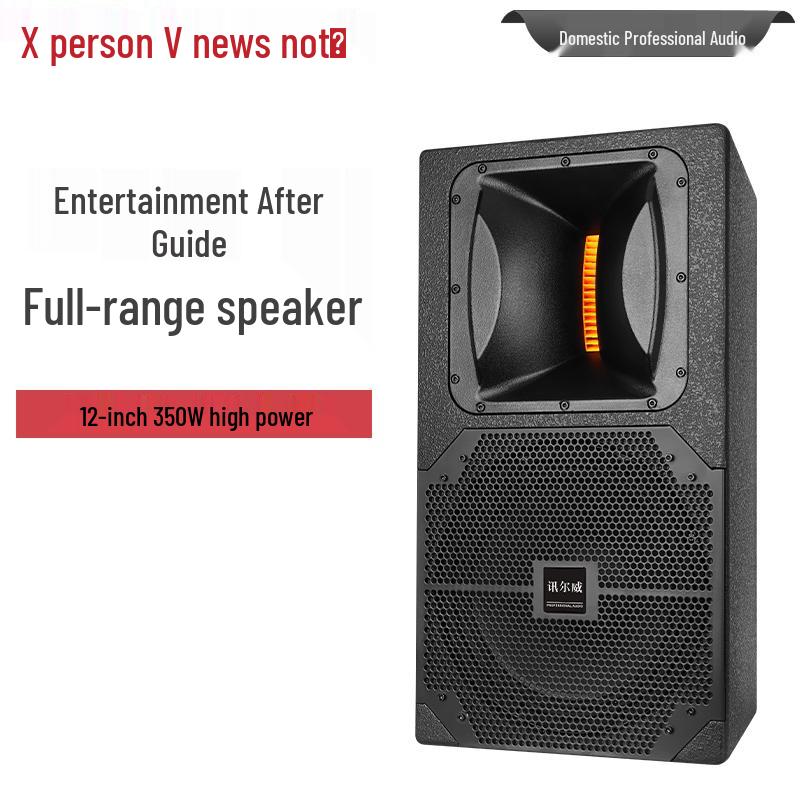 Xun Er Wei Professional Audio-Video Systems (CN Version)