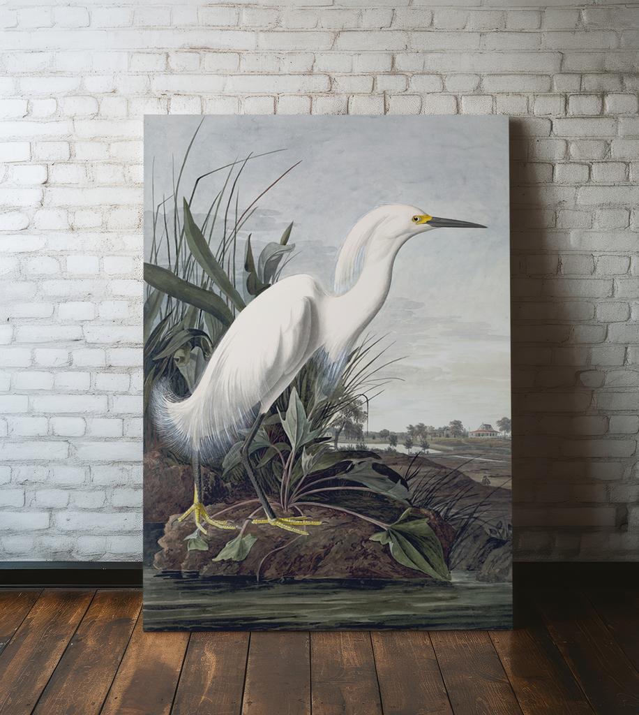 Canvas Painting White Bird Wetland Swamp