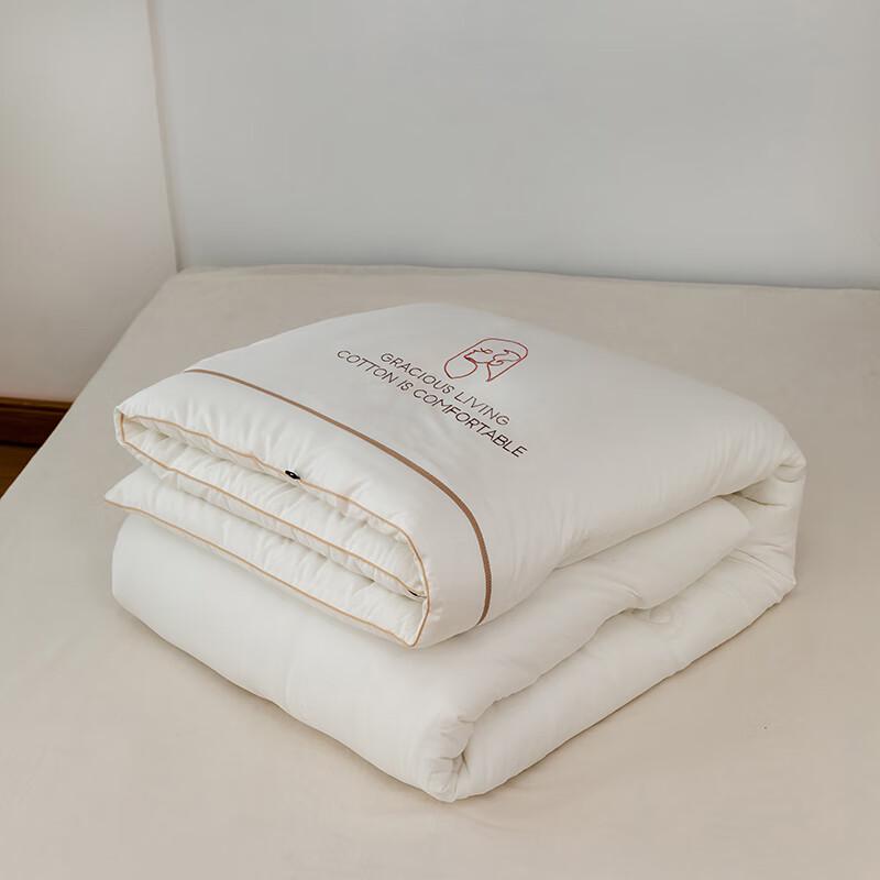 

CHANSI Goddess Style Cotton Soft Winter Quilt