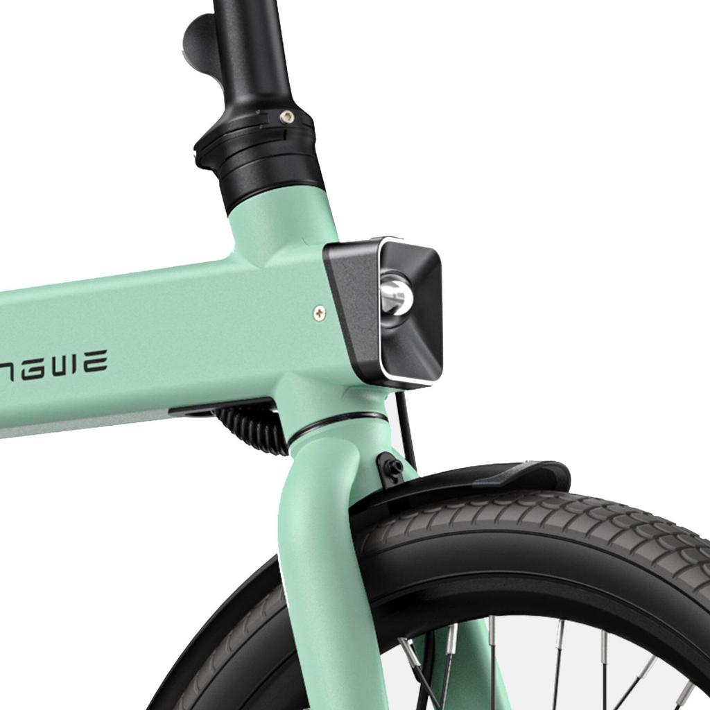 ENGWE P20 Elektrofahrrad für Erwachsene, 250W Standardmotor, 36V 9,6AH Leichtbauakku, ideal für kurze Stadtfahrten und Besorgungen