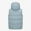 The North Face Nv1dr60b Sierra Down Vest  Rds  Jade