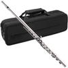 16-Key Closed Hole Silver & Nickel Plated C Flute with E Key, Multi-Color Options