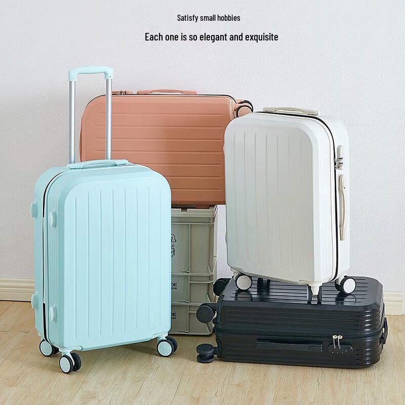 

Ruyishi Lightweight Carry-on Travel Suitcase with Password Lock 20 inches