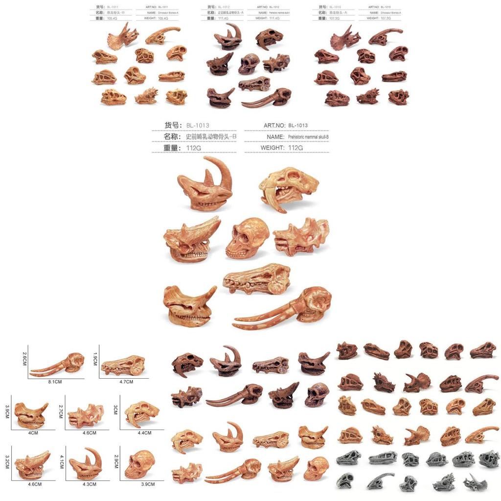 Realistic Jurassic Dinosaur Skull Model Toy For Kids Educational Archaeology Fun