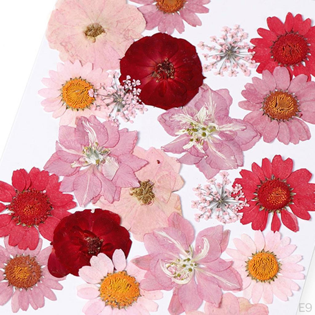 Dried Flowers DIY Decorative for Resin Jewelry Making Crafts Nail Stickers
