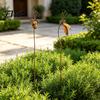 Outdoor Plant Display Stand Big Mouth Bird Garden Stake, Rusty Metal Decorative Potted Yard Art for Patio, Lawn, Courtyard, Decor Weather-resistant
