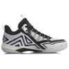 Li Ning Roar Badminton Shoes Unisex Low top Black/White AYTR007-1