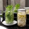 Wide Mouth Stainless Steel with Stand Germination Cover Mason Jars Sprouting Jar Kit Sprouter